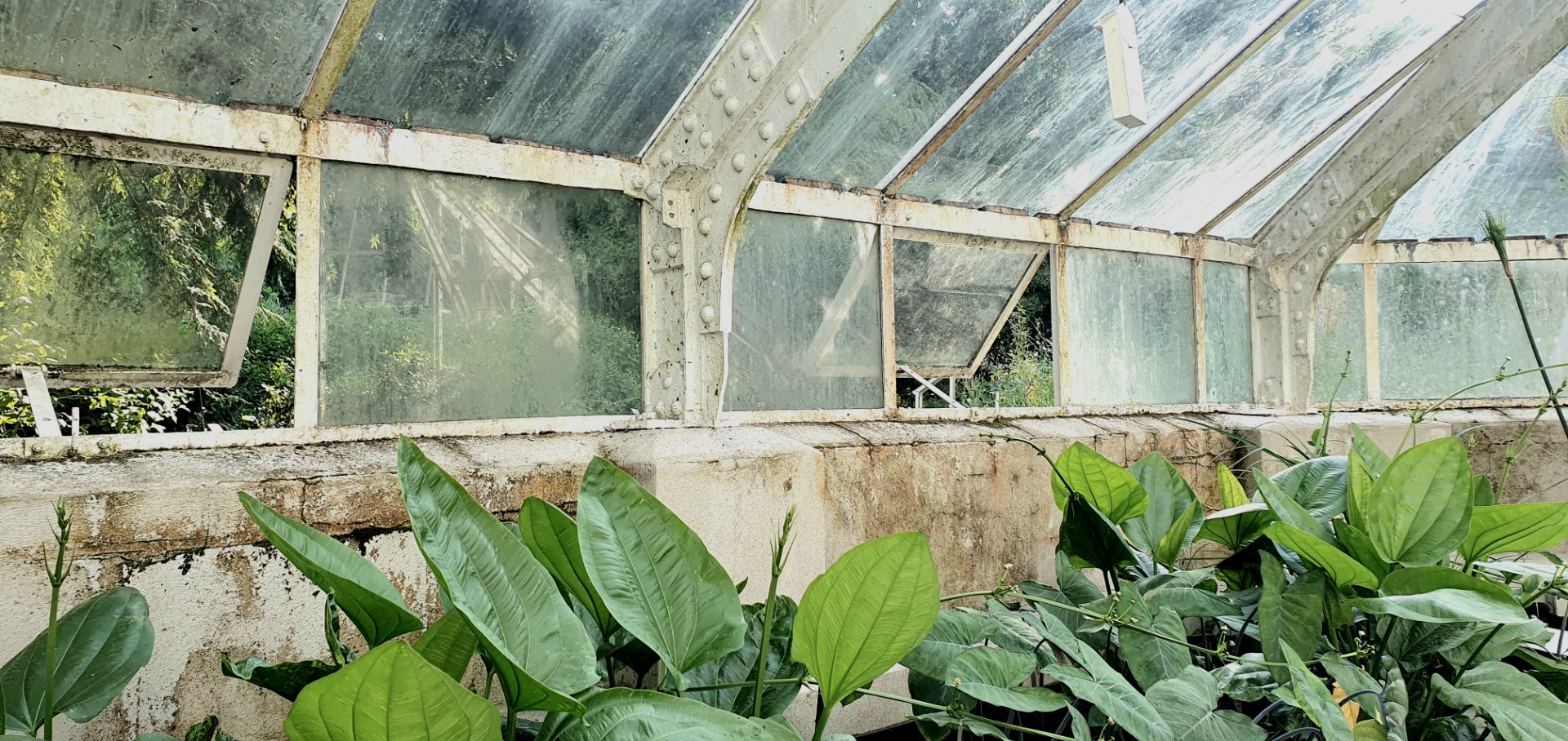 F O T O G R A F I E N