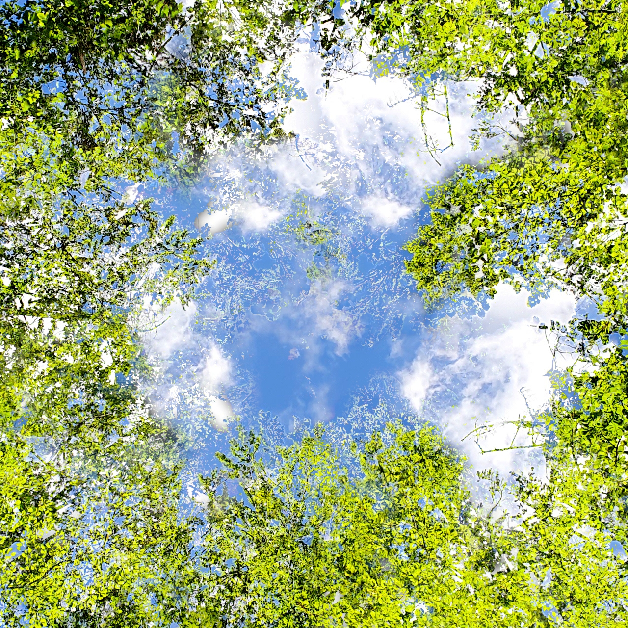 KUNST FÜR DEN MEDIZINISCHEN BEREICH