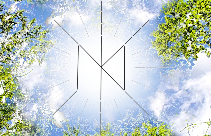 B I L D B E A R B E I T U N G